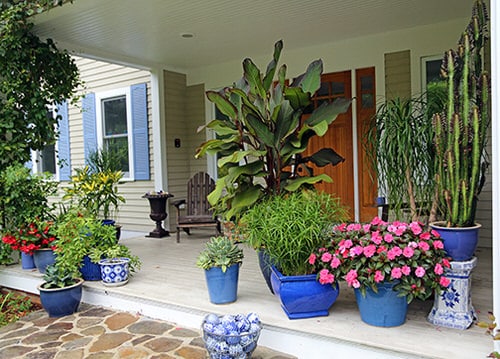 Porch Decor Idea with Plants 5