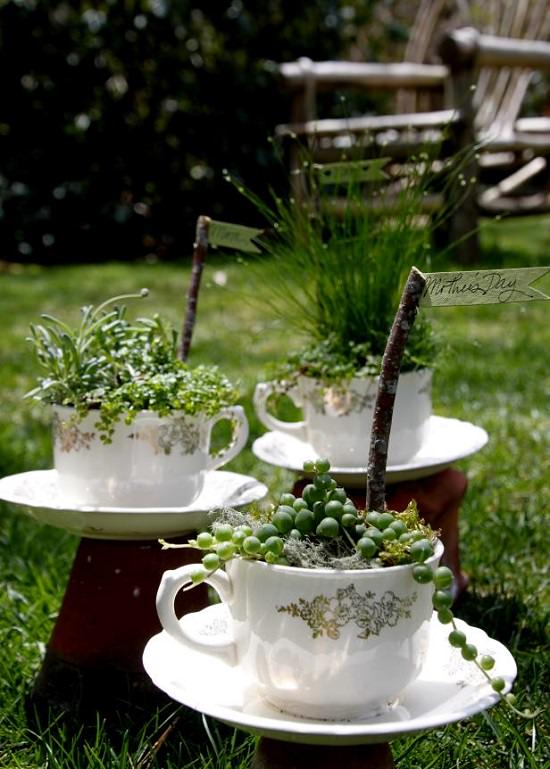 Teacup Garden for Mother's Day