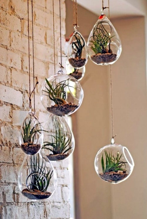 Wall Hanging Plant Decor Ideas 9