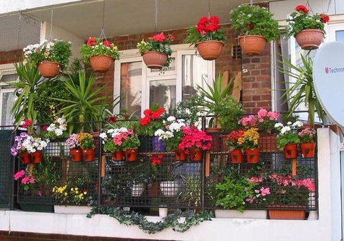 The Best Decorated Small Outdoor Balconies on Pinterest 10