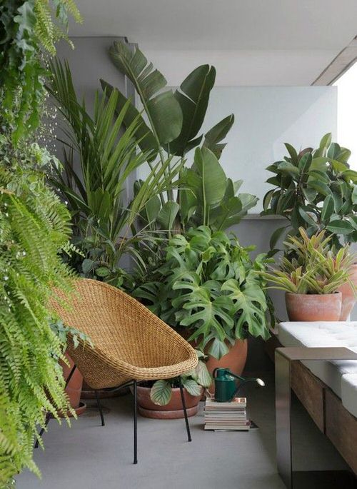 Create a Tropical Garden Oasis in a Balcony With These Ideas