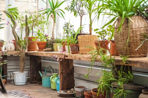Create a Tropical Garden Oasis in a Balcony With These Ideas 11
