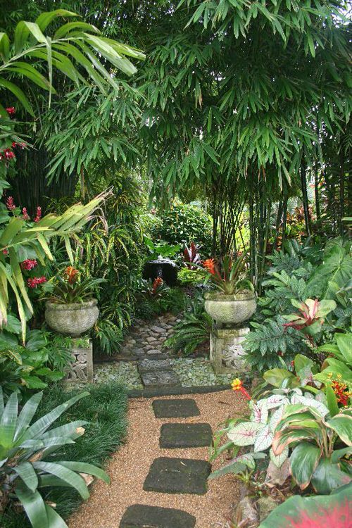 Crazy Tropical Garden Bed Ideas You'd Like to Copy 21