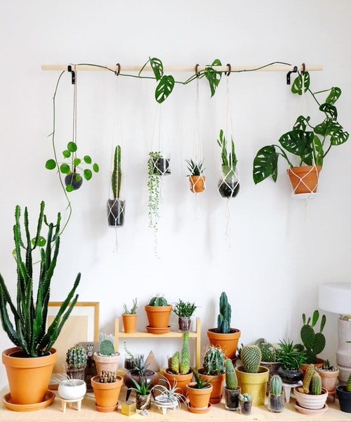 Wall Hanging Plant Decor Ideas 17