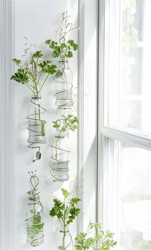 Glass Tubes and Jars Vertical Garden Ideas 4