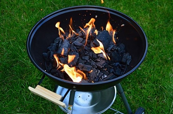 Uses of Charcoal in the Garden with many benefits