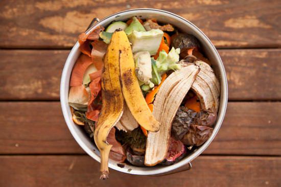 How to Start Composting in an Apartment Balcony