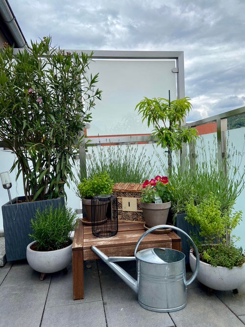 Apartment Balcony Gardens on Reddit for Perfect Inspiration