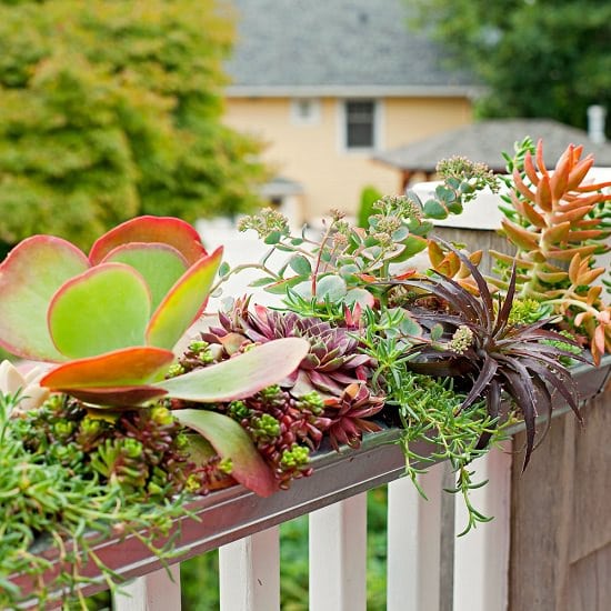 These DIY Railing Planter Ideas can create more space and provide visual interest to your balcony garden.