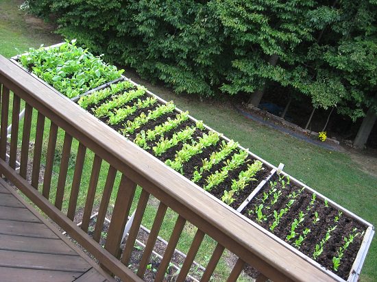 Deck Vegetable Garden Ideas 9