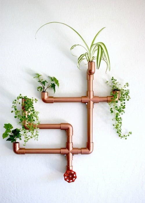 DIY Indoor Plant Wall Projects 10