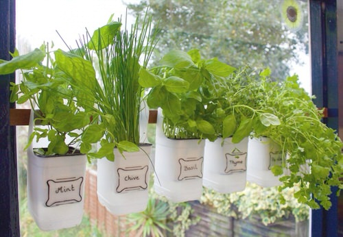 DIY Edible Garden Ideas from Plastic Bottles 10