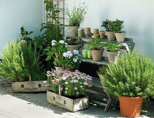 urban apartment herb garden