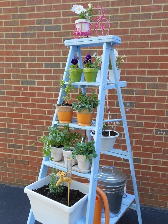 Ladder planter idea