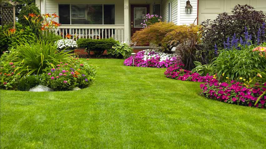 lawn care tips for lawn maintenance