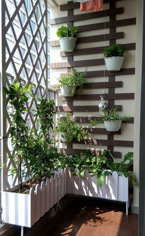 Enclosed Balcony Garden Ideas 4