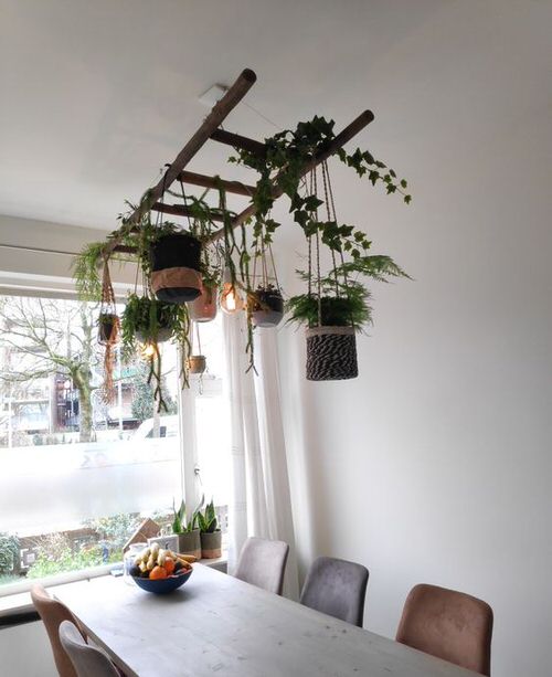 Indoor Stepladder Garden Ideas