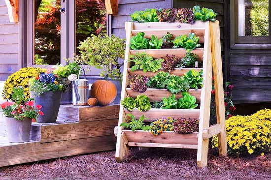 DIY Vertical Gardening Ideas 7