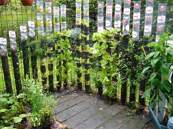 DIY Vertical Gardening Ideas 21