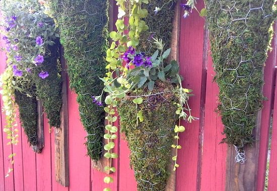 DIY Vertical Gardening Ideas 22