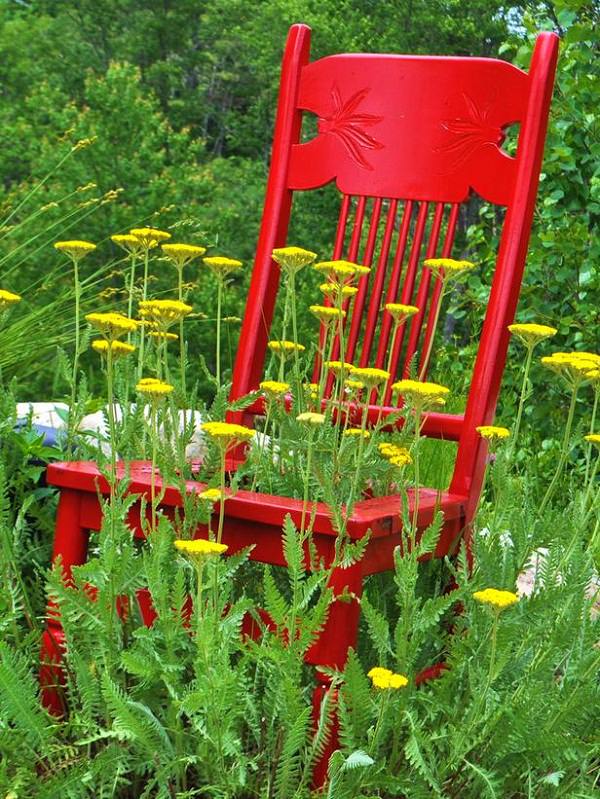 yarrow chair planter